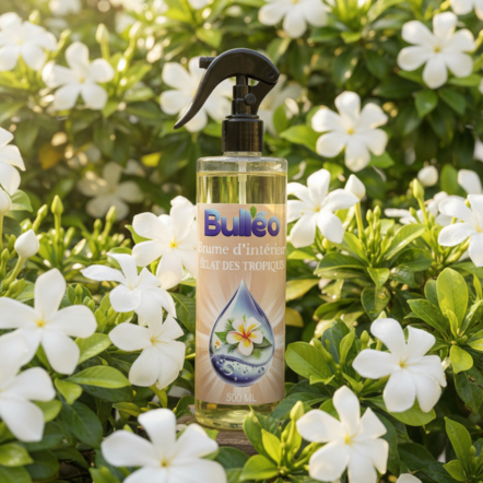Brume de Linge Bulléo Éclat des Tropiques 500 ml senteur monoi– Parfum Exotique pour Linge et Maison