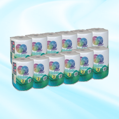 Essuie tout blanc, 12 rouleaux, 3 plis, Jumbo GROS rouleaux